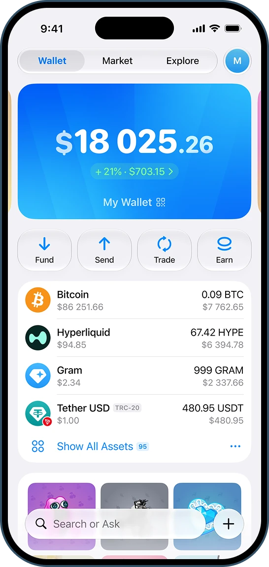 My Wallet on iPhone (demo data)